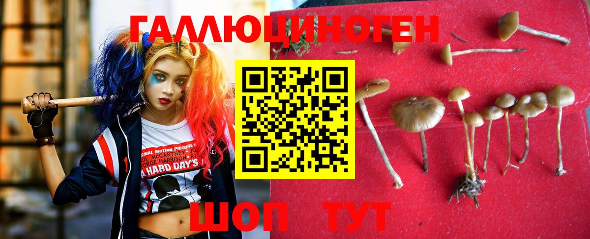 Галлюциногенные грибы Magic Shrooms  Вход с VPN  Егорьевск  Псилоцибиновые грибы прущие грибы 